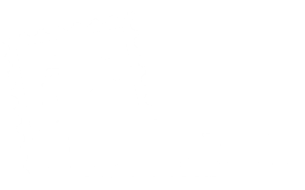 PHILA-RIVA 2026 — la philatélie, entre mer et mémoire